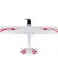 RC lėktuvas Timber 1.5m 10th Anniversary AS3X SAFE Select BNF – E-flite – CyborgShop