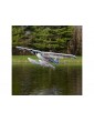 RC lėktuvas Timber 1.5m 10th Anniversary PNP – E-flite – CyborgShop
