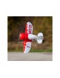 RC modelis UMX Gee Bee R-2 510mm BNF lėktuvas E-flite CyborgShop