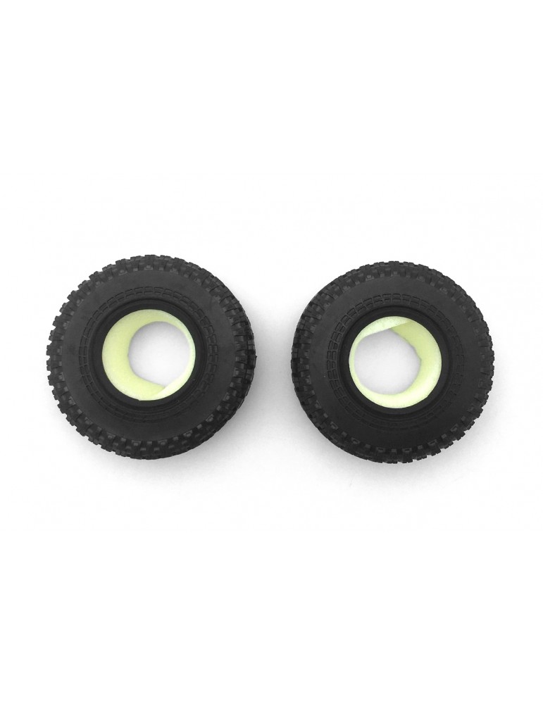 Tire with Foam (2pcs)