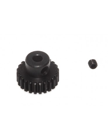 24T PINION GEAR 48DP - S10