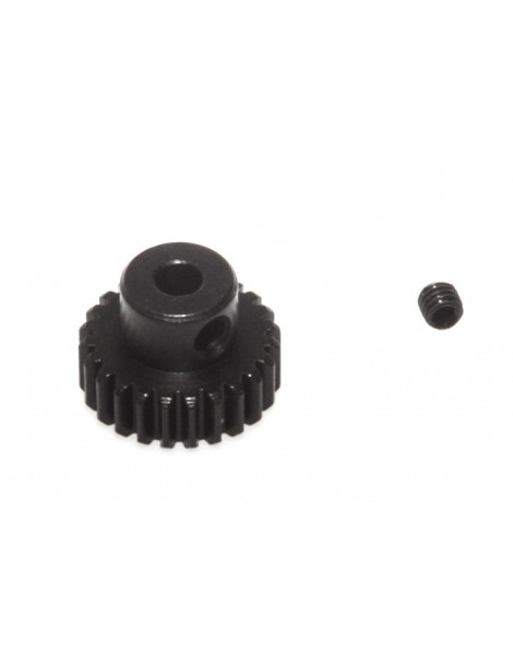 24T PINION GEAR 48DP - S10
