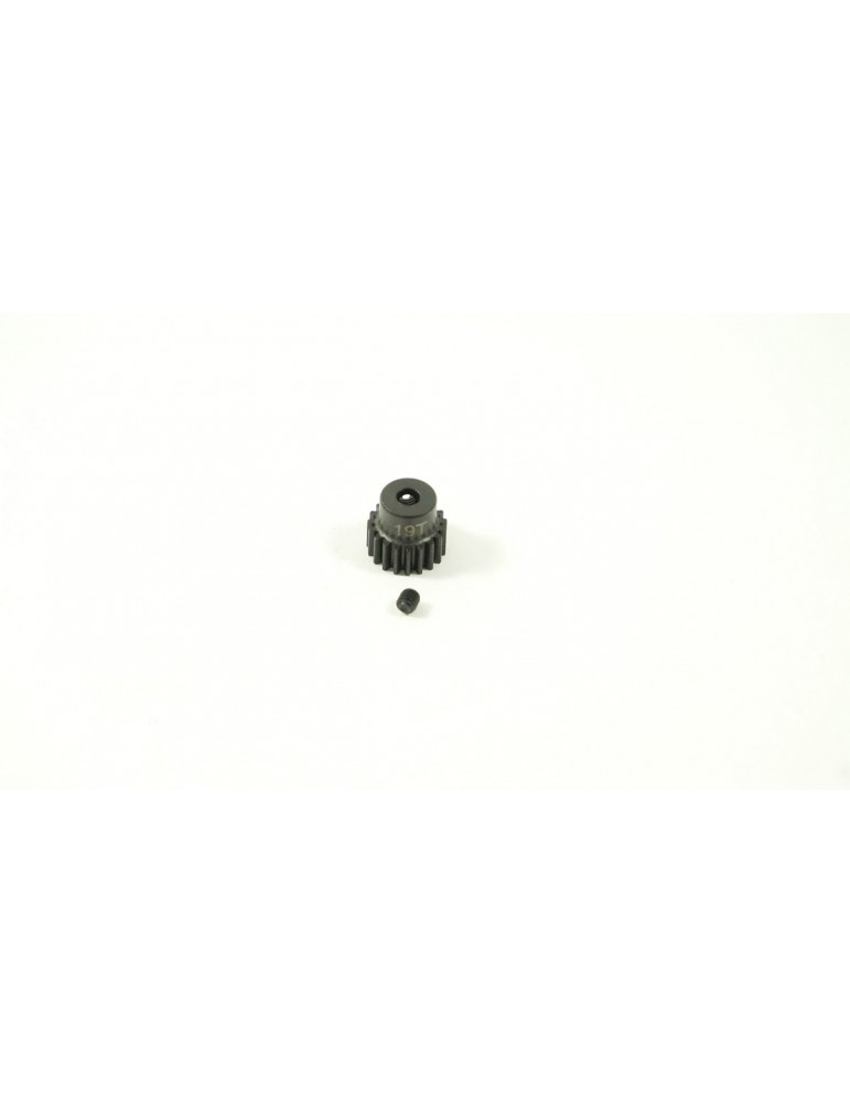 SWORKz Motor Gear 19T