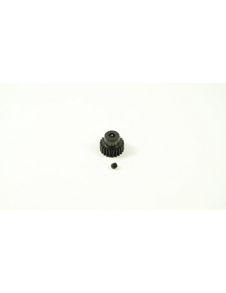 SWORKz Motor Gear 22T