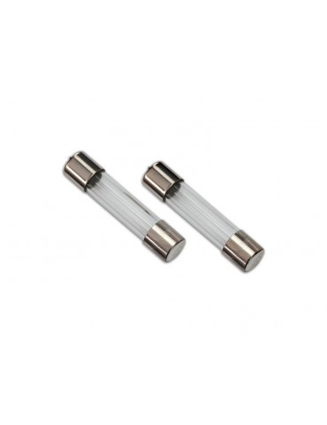 Traxxas Fuse, charger, 5A (2) (for 2974, 2975, 2977)