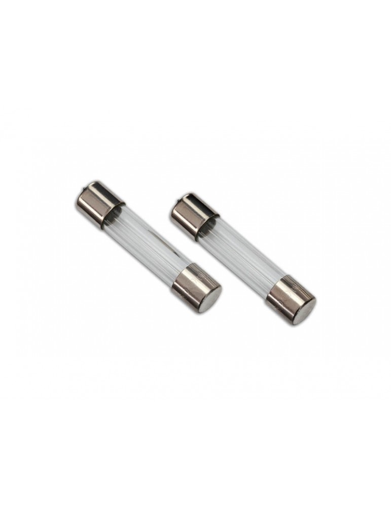 Traxxas Fuse, charger, 5A (2) (for 2974, 2975, 2977)