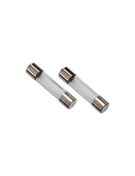 Traxxas Fuse, charger, 5A (2) (for 2974, 2975, 2977)