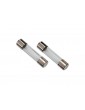 Traxxas Fuse, charger, 5A (2) (for 2974, 2975, 2977)