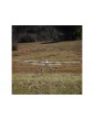 E-flite Conscendo 2.0m BNF Basic AS3X+ SAFE Select