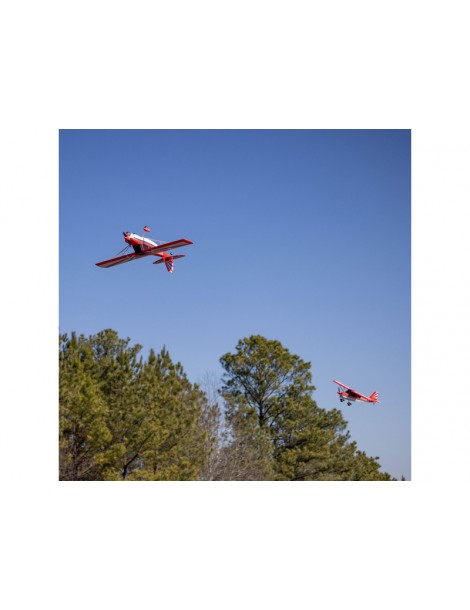 RC lėktuvas Super Decathlon 1.2m PNP E-flite – CyborgShop