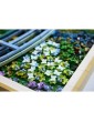 LEGO Art - Claude Monet Bridge over a Pond of Water Lilies