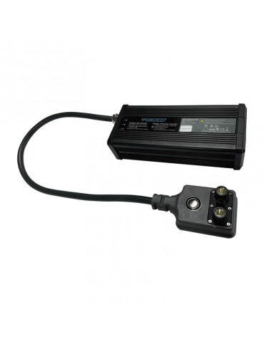 WAYDOO EVO Charger for Powerflight Batteries