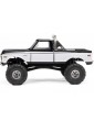 Axial 1/24 SCX24 Chevrolet C10 1971 4WD RTR Orange