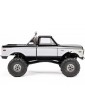 Axial 1/24 SCX24 Chevrolet C10 1971 4WD RTR Orange
