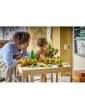 LEGO DUPLO - Discovery Forest with Wild Animals