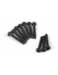 Button Head Screw M2x14mm (Hex Socket/10pcs)