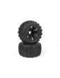 Assembled Wheel & Tyre Set (MT/2pcs)