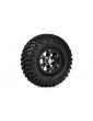Wheel complete L/R with Wheel Nut Dust Cover-Chrome (2pcs)