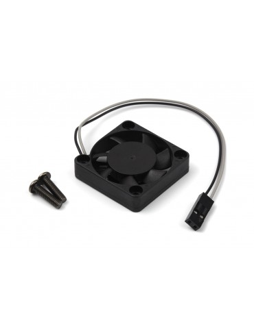 Motor Cooling fan