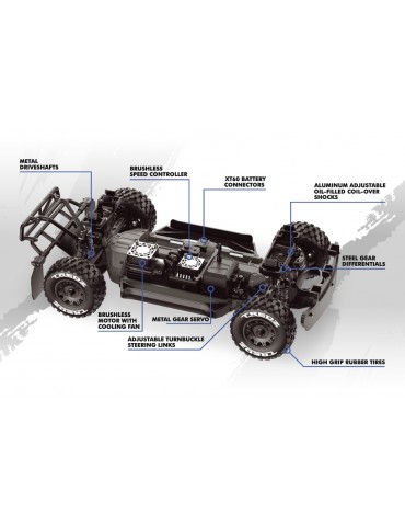 QByte SC Flux 1/12th SC Truck - Blue
