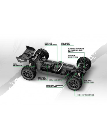 QByte XB Flux 1/12th Buggy - Green