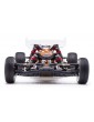 RTR Brushless Buggy XMid 2WD Hobbytech + battery and charger
