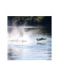 Pro Boat Miss Illinois U-34 mėlynas ir geltonas 34 colių Unlimited RC hidroplanas - CyborgShop
