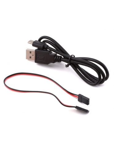 Spektrum Smart ESC programavimo įrenginys su USB ir ESC laidais - CyborgShop