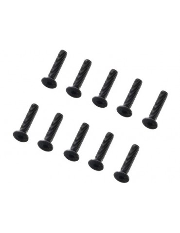 Axial M2 × 12 mm varžtai įleidžiama galvute, dešimties vienetų komplektas - CyborgShop