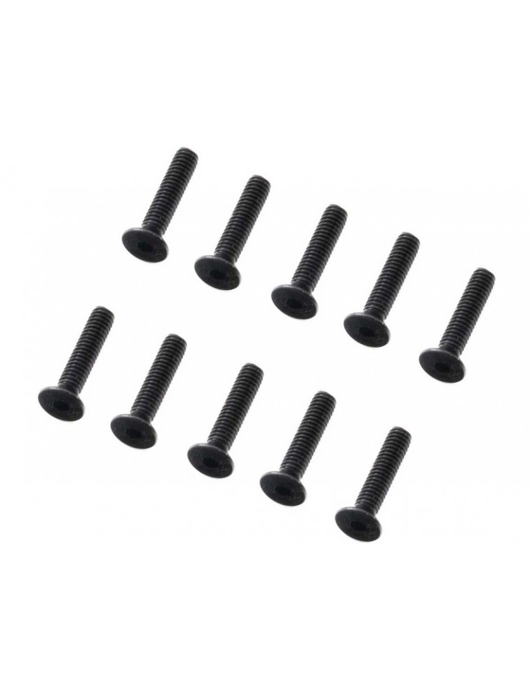 Axial M2 × 12 mm varžtai įleidžiama galvute, dešimties vienetų komplektas - CyborgShop