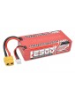Team Corally Sport Racing 2500 mAh 2S 50C Shorty LiPo akumuliatorius su XT60 jungtimi - CyborgShop