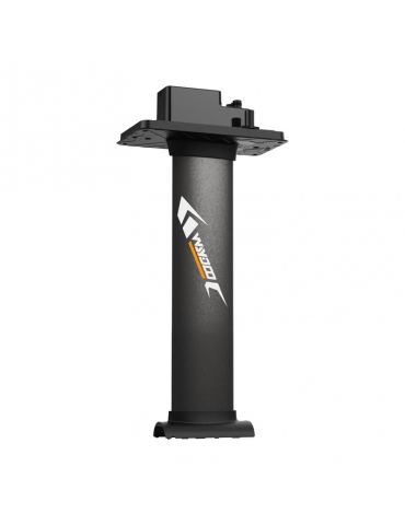 Mast for WAYDOO EVO 31" boards (79 cm)