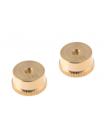5g Weight (2 pcs)