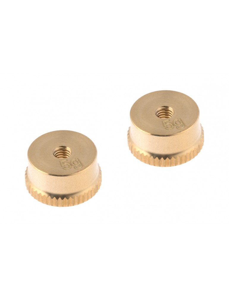 5g Weight (2 pcs)