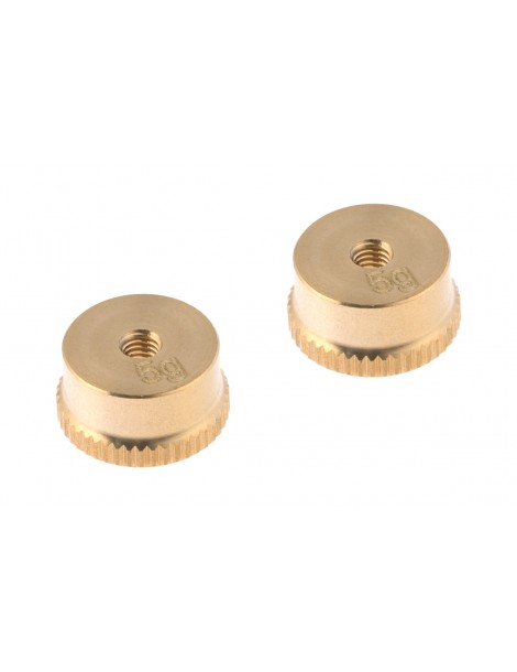 5g Weight (2 pcs)