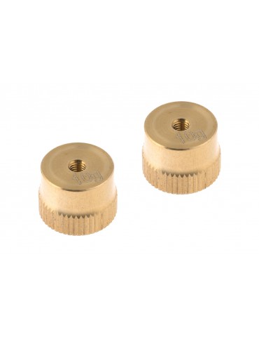 10g Weight (2 pcs)