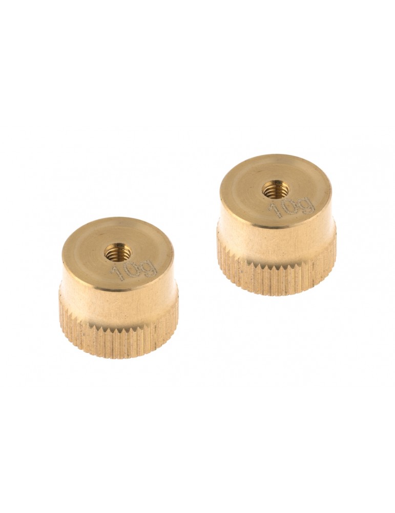 10g Weight (2 pcs)