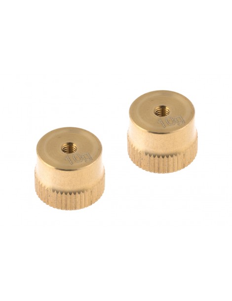 10g Weight (2 pcs)