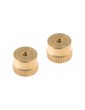 10g Weight (2 pcs)