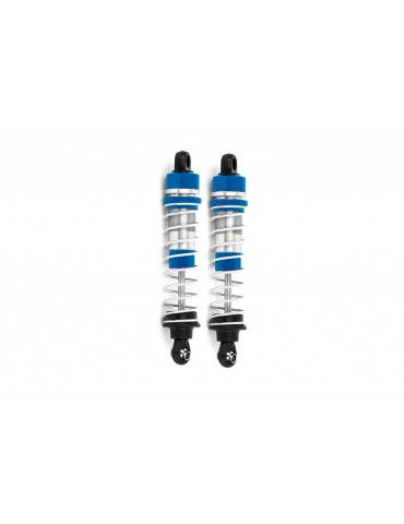 Shock Absorbers, 2 pcs