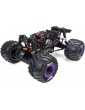 Losi 1/18 Mini LMT 4WD RTR Sparkle Smash
