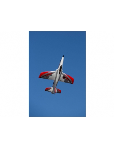 Lėktuvas E-flite Habu STS 1.0m Smart SAFE