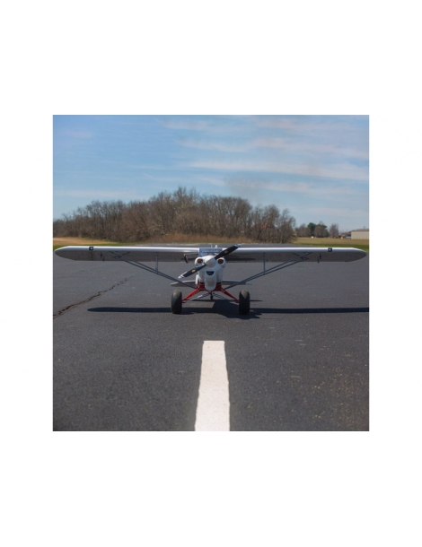 Lėktuvas CubCrafters XCub 60cc ARF