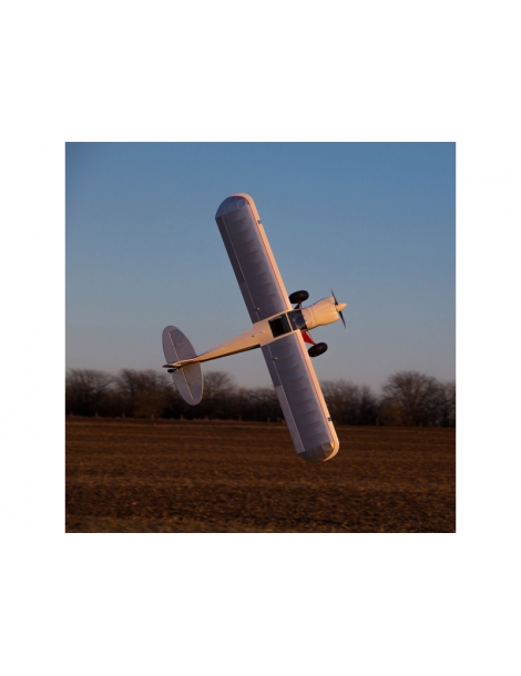Lėktuvas CubCrafters XCub 60cc ARF