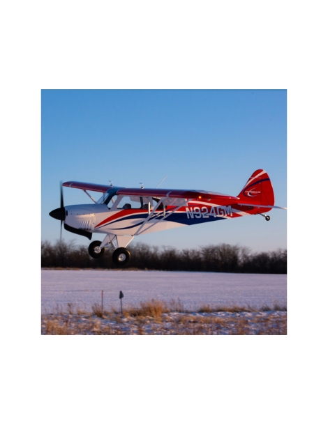 Lėktuvas Hangar 9 Carbon Cub FX-3 100-200cc ARF