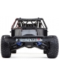 Losi 1/6 Super Baja Rey 2.0 4WD RTR Brenthel