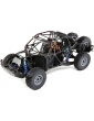 Losi 1/6 Super Baja Rey 2.0 4WD RTR King