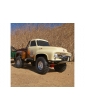 Axial SCX10 II 1955 Ford F-100 RC Automodelis (ruda)