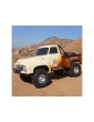 Axial SCX10 II 1955 Ford F-100 RC Automodelis (ruda)