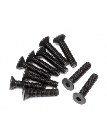 100556 - FLAT HEAD SCREW M3x14mm (HEX SOCKET/10pcs)